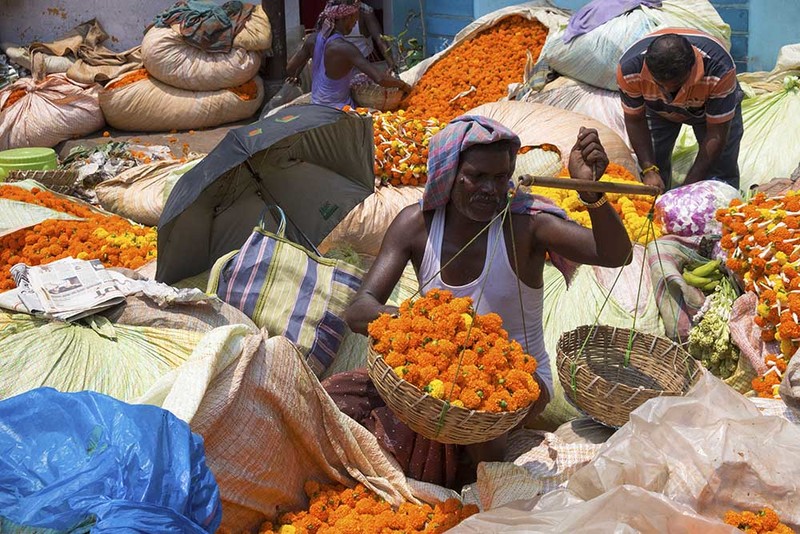 2019_076 IN Flowermarket.jpg :: Flower Market 
