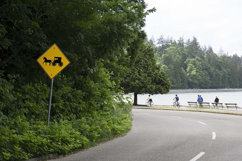 CA2023004 CarriageWarning.jpg :: Carriage Road Sign