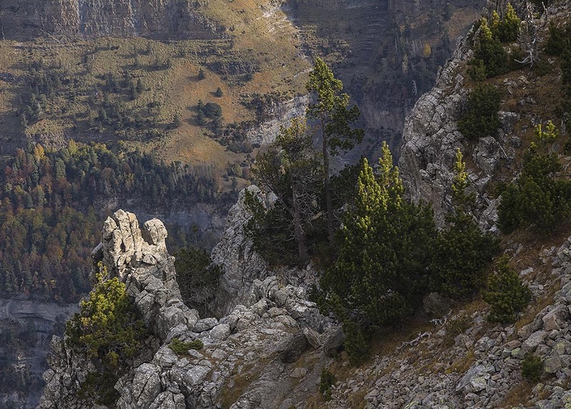 ES2011 001 Pirineo.jpg :: Landscape Pyrenees