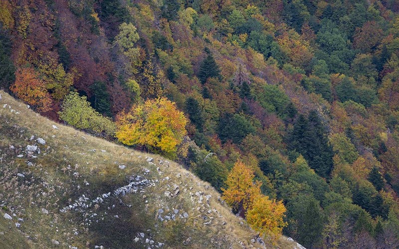 ES2011 005 Pirineo.jpg :: Landscape Pyrenees
