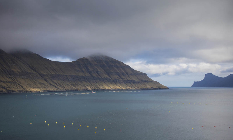 FO2022006 FishingMethods.jpg :: Fishing Methods