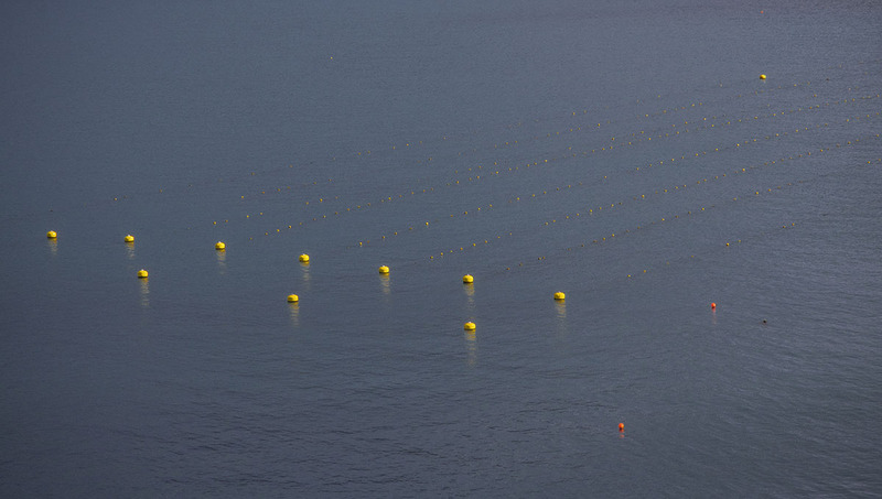 FO2022007 FishingMethods.jpg :: Fishing methods