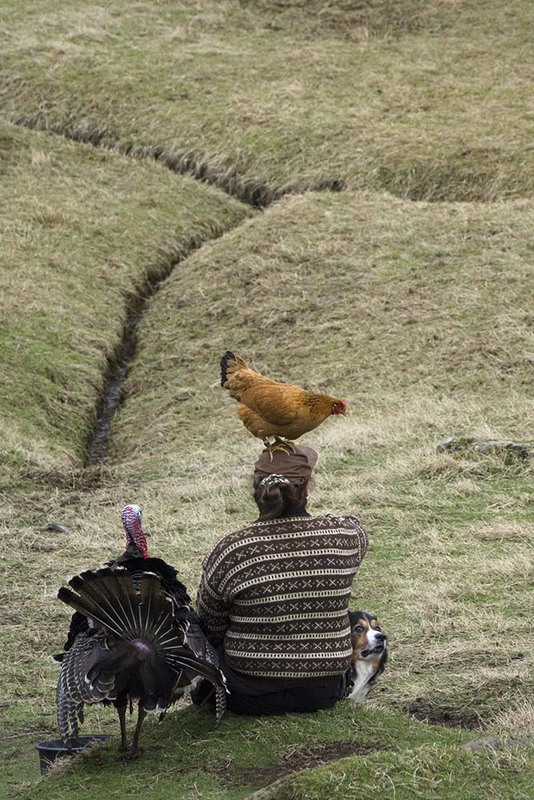 FO2022009 AnimalFriends.jpg :: Animal Friends