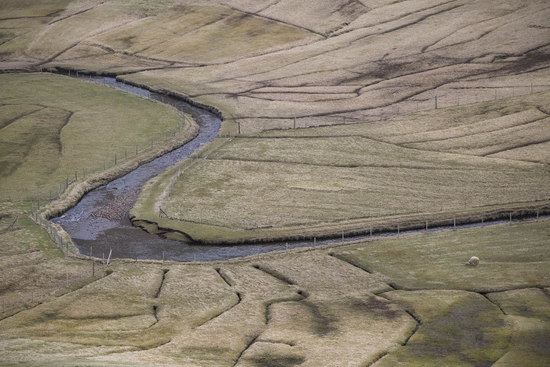 FO2022010 Farmland.jpg :: Farmland