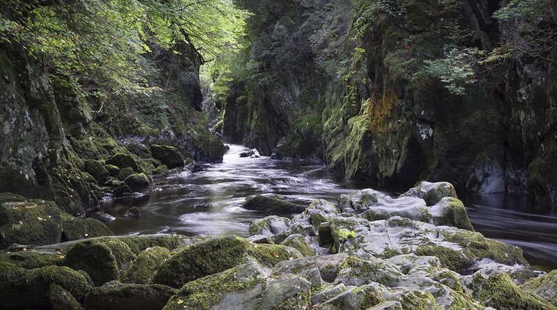 GB2023 003p Glen.jpg :: Flowing Glen