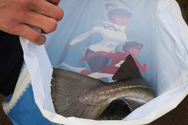 GL2024_004 FishPurchase.jpg :: Fish Purchase