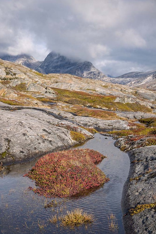 GL2024_007 TundraFall.jpg :: Tundra in Fall