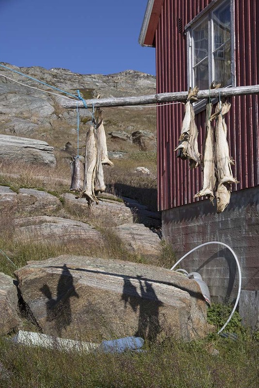 GL2024_019 DryingFish.jpg :: Drying Fish