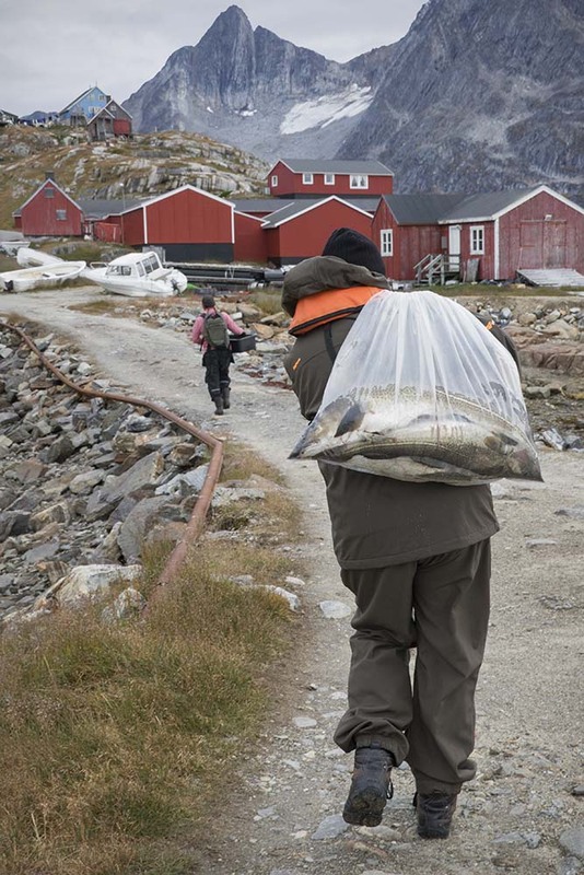GL2024_D008 BaggedFish.jpg :: Bagged Fish