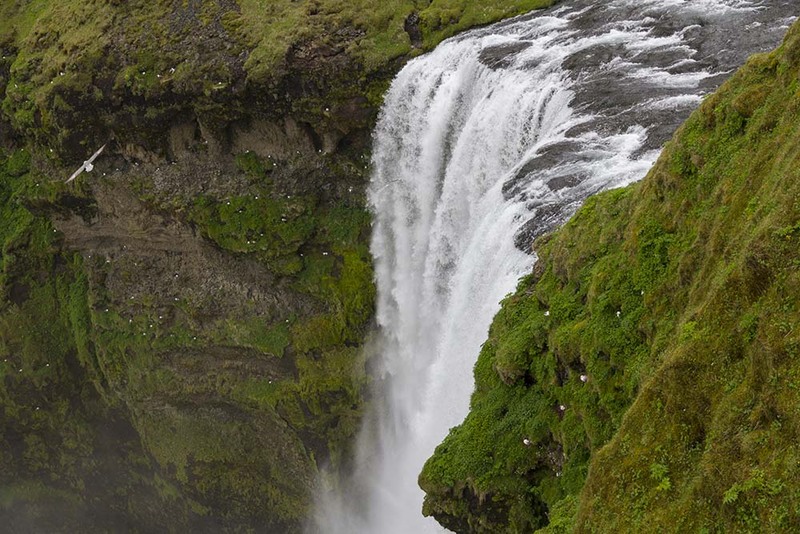 IS15_024 Skogafoss.jpg :: Skogafoss