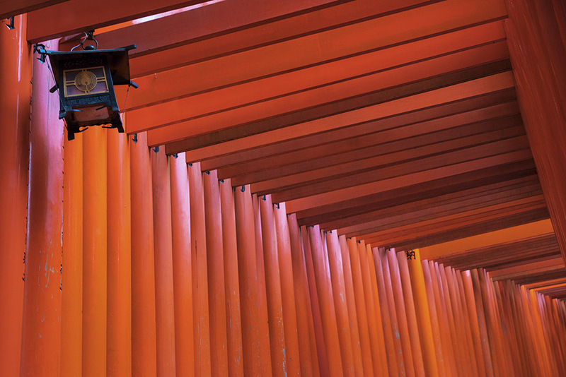 JP2016_030 Fushimi-inari TaishaShrine2.jpg :: fushimi-inari taisha shrine