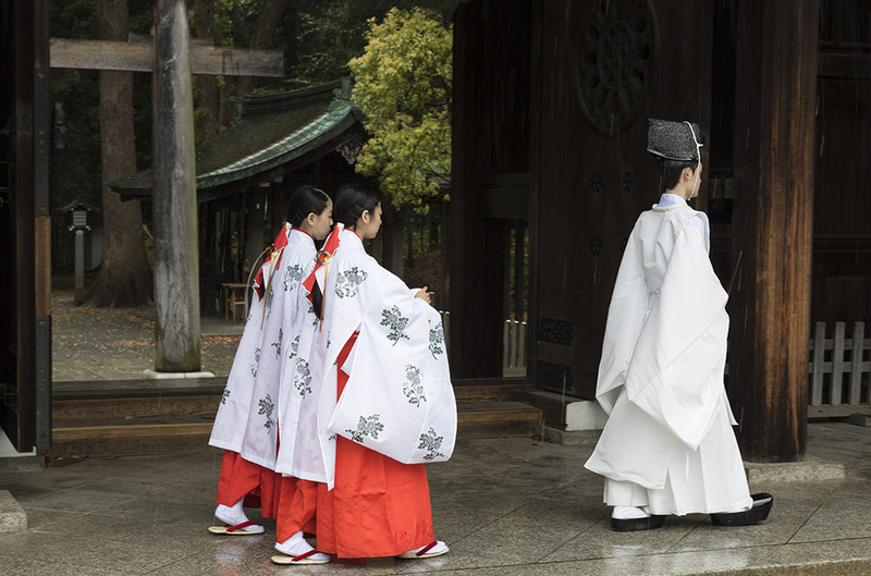 JP2016_056 MeijiShrine.jpg :: Meiji Shrine