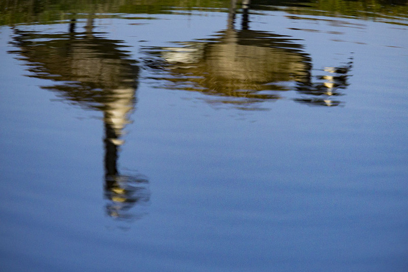 NL_WDFA002 Geese.jpg :: Watered Down Geese