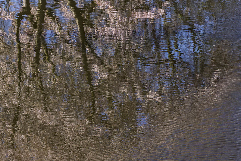 NL_WDS001 Spring.jpg :: Spring