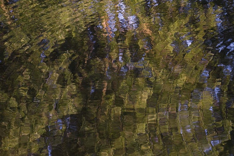 NL_WDS002 Summer.jpg :: Summer