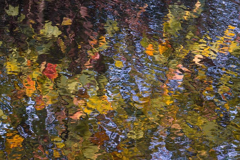 NL_WDS003 Autumn.jpg :: Autumn
