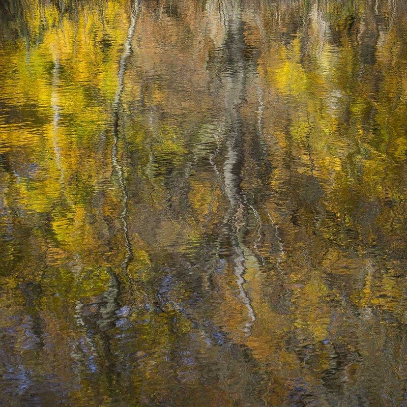 NL_WDS005 Autumn2.jpg :: Autumn 2