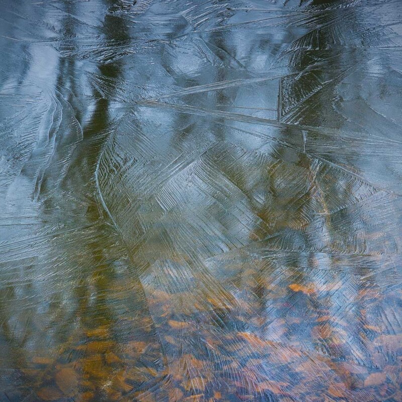 NL_WDS2026_002 Frozenstream.jpg :: Frozen