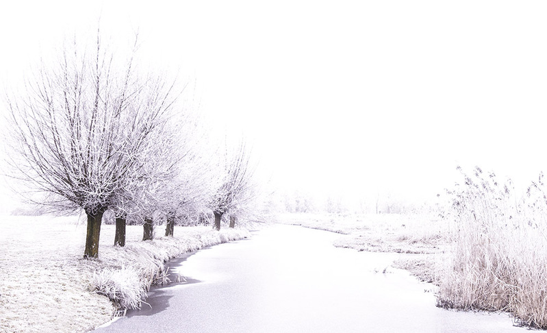 NL17L001 Frozen Mist.jpg :: Frozen Mist