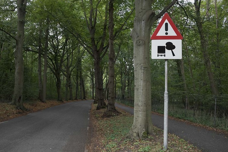 NL20R 002 Trees.jpg :: Dangerous Trees 