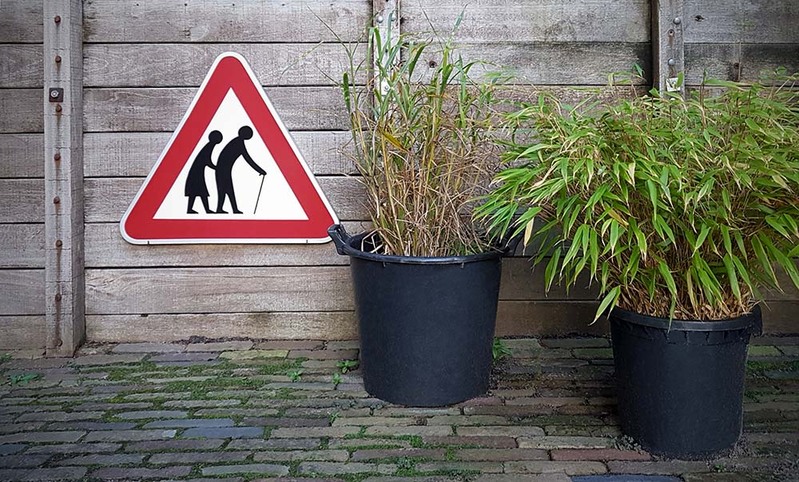 NL20R 003 FrailPedestrians.jpg :: Frail Pedestrians Likely to Cross