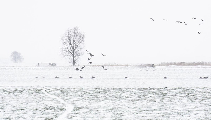 NL21L001 Winterscape.jpg :: Winterscape
