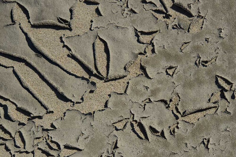 NL21L009w Sandscape.jpg :: Sandscape