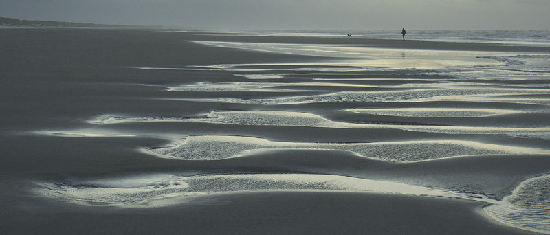 NL21L010 Beach.jpg :: Beach Pattern