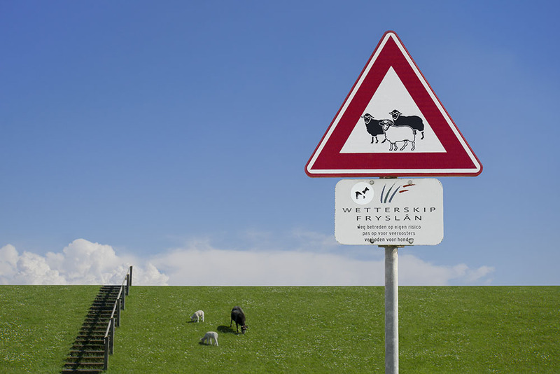 NL21R 008 SheepWarning.jpg :: Roaming Sheep Warning
