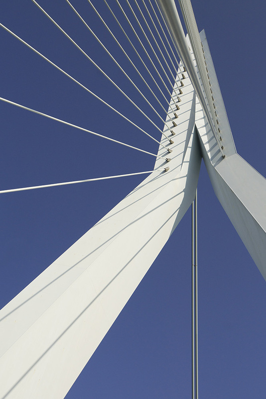 NL21U002 ErasmusBridge.jpg :: Erasmus Bridge