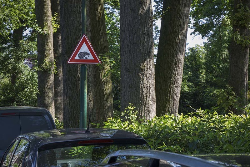 NL24R 002 HedgehogWarning.jpg :: Hedgehog warning