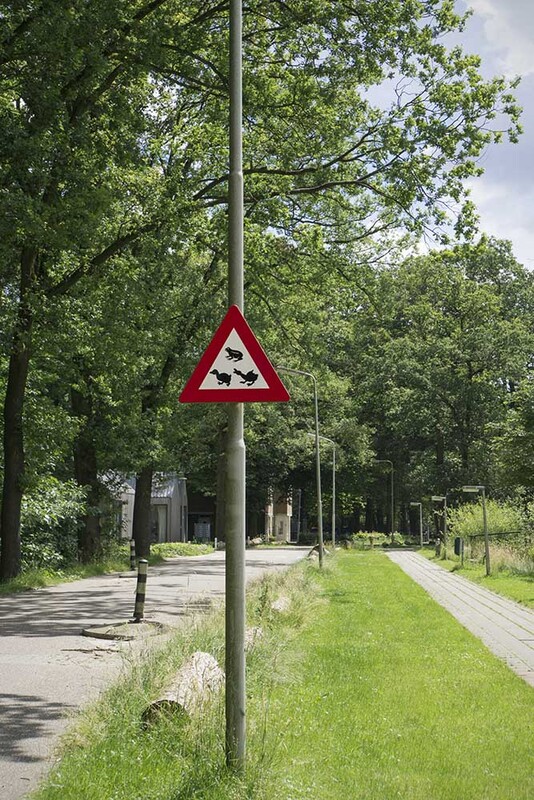 NL24R 006 VarFauna.jpg :: Small Fauna Crossing