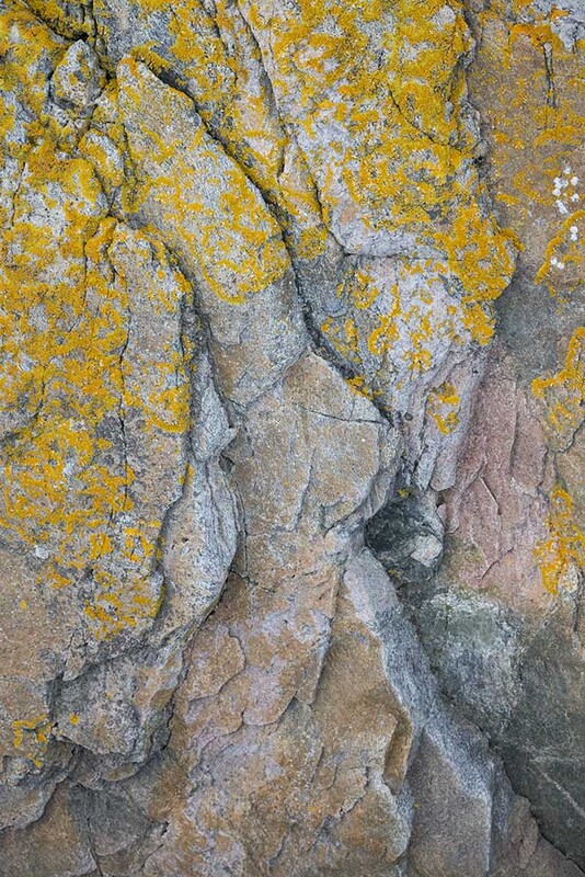 NO2022 017 LichenRock.jpg :: Lichen Rock