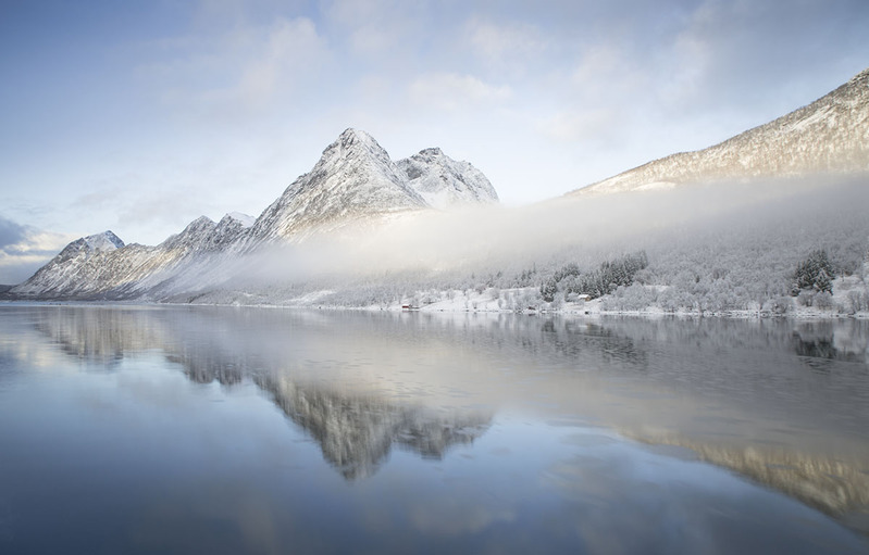 NO2025_012 Reflection.jpg