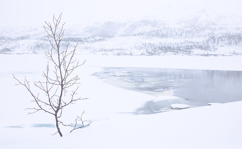 NO2025003 HK Landscape.jpg :: High-Key Landscape