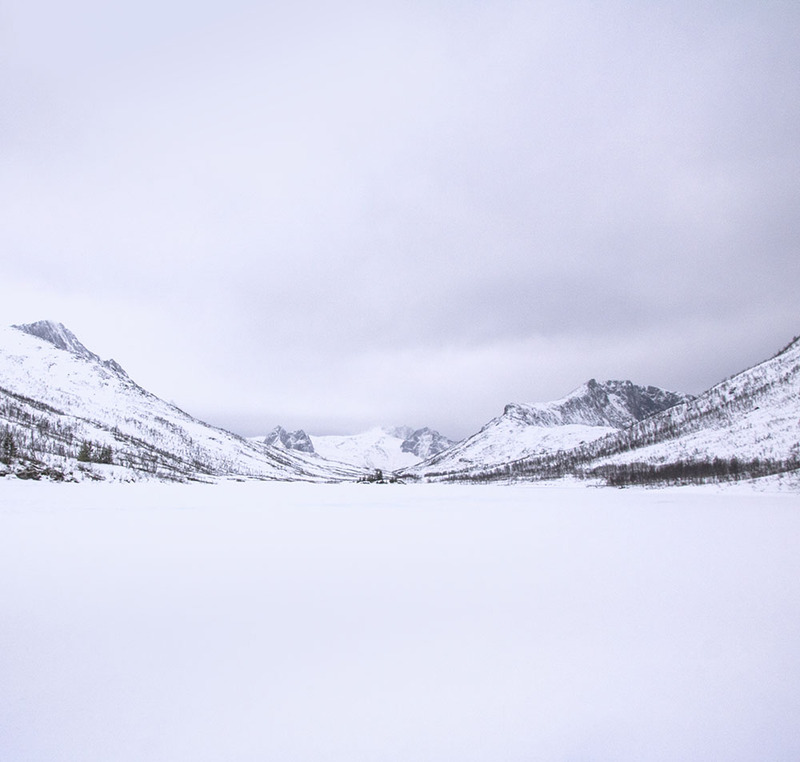 NO2025006 Senja.jpg :: Senja