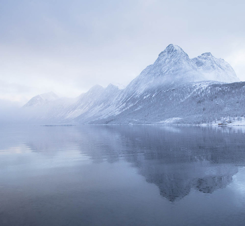 NO2025009 Senja.jpg :: Senja