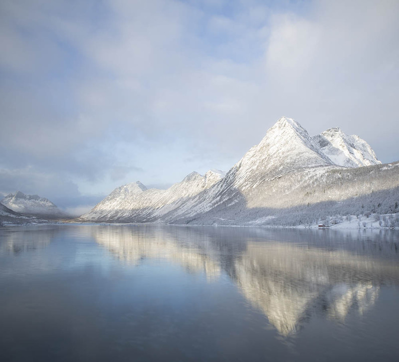 NO2025010 Senja.jpg :: Senja