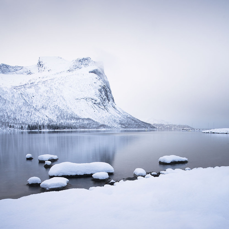 NO2025017 Senja.jpg :: Senja