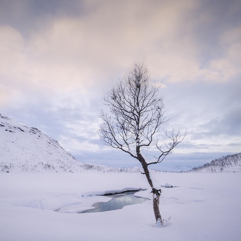 NO2025021s Senja.jpg :: Senja