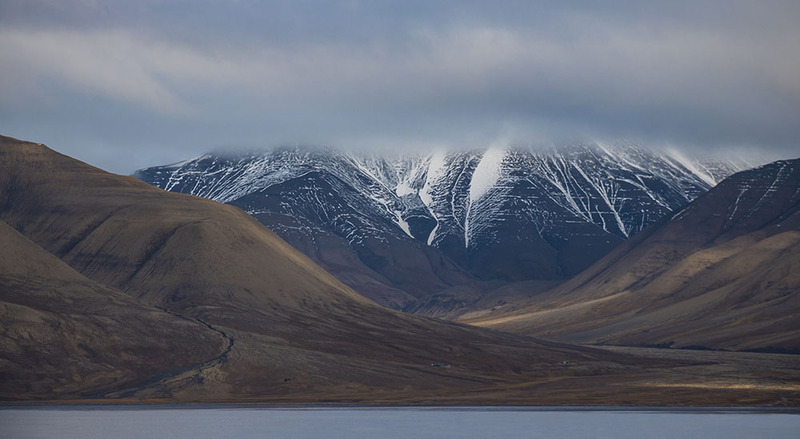 SJ2019_001 MountainPattern.jpg :: Mountain Pattern