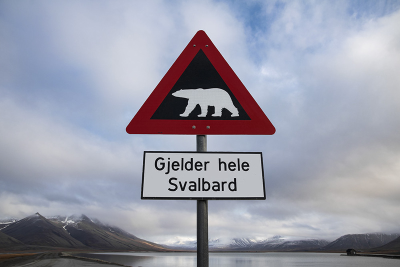 SJ2019_005 SvalbardCaution.jpg :: Svalbard Caution