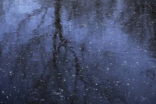 NL_WDS004 Winter.jpg