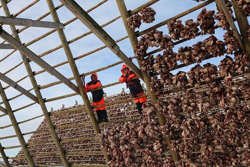 NO2022 005 DryingRacks4.jpg