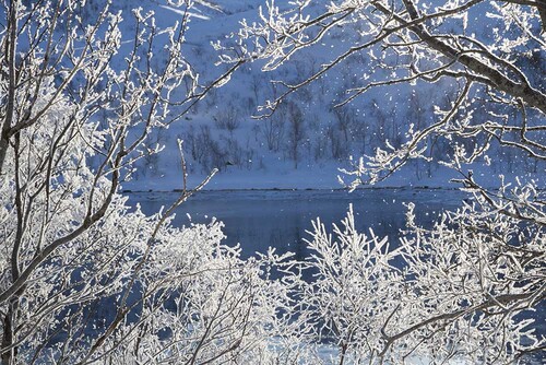 NO2022 013w Frost.jpg