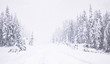 CA2023021w JasperNP.jpg