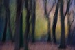 NL19FL006w Speulderbos.jpg