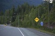 CA2023036 TimberTruck.jpg