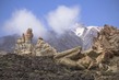 ES2024007 Tenerife.jpg