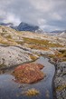 GL2024_007 TundraFall.jpg